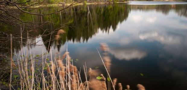 <p>Ezers atrodas Gaujas Nacionālā parka ainavu aizsardzības zonā. Ezera platība ir 9,7 ha, vidējais dziļums 5,1 m. Ainavisks ezers ar slīpiem krastiem. Izteka - neliels strauts uz tuvējo Plaužu ezeru.</p>