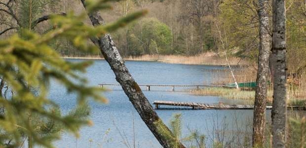 <p>Plaužu ezers atrodas Gaujas Nacionālā parka ainavu aizsardzības zonā. Ezera platība ir 13,6 ha, vidējais dzļums 2,9 m. Ezerā mīt līdakas, asari, plauži. Gultne smilšaina, ziemeļos un rietumos - dūņaina. No ezera iztek Plaužupīte (Strautene), kas tālāk plūst uz Braslu. Ezerā ietek Ačgārņa un strauts no Pekša ezera. Krasti dienvidos un austrumos pārsvarā stāvi, ziemeļos un rietumos - zemi.</p>

<p>&nbsp;</p>