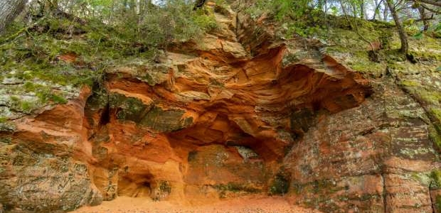 <p>Senās klintis omulīgi iekārtojušās mežu ieskautās Gaujas upes labā krasta nogāzē, kur stiepjas aptuveni 200 metru garumā.&nbsp;</p>